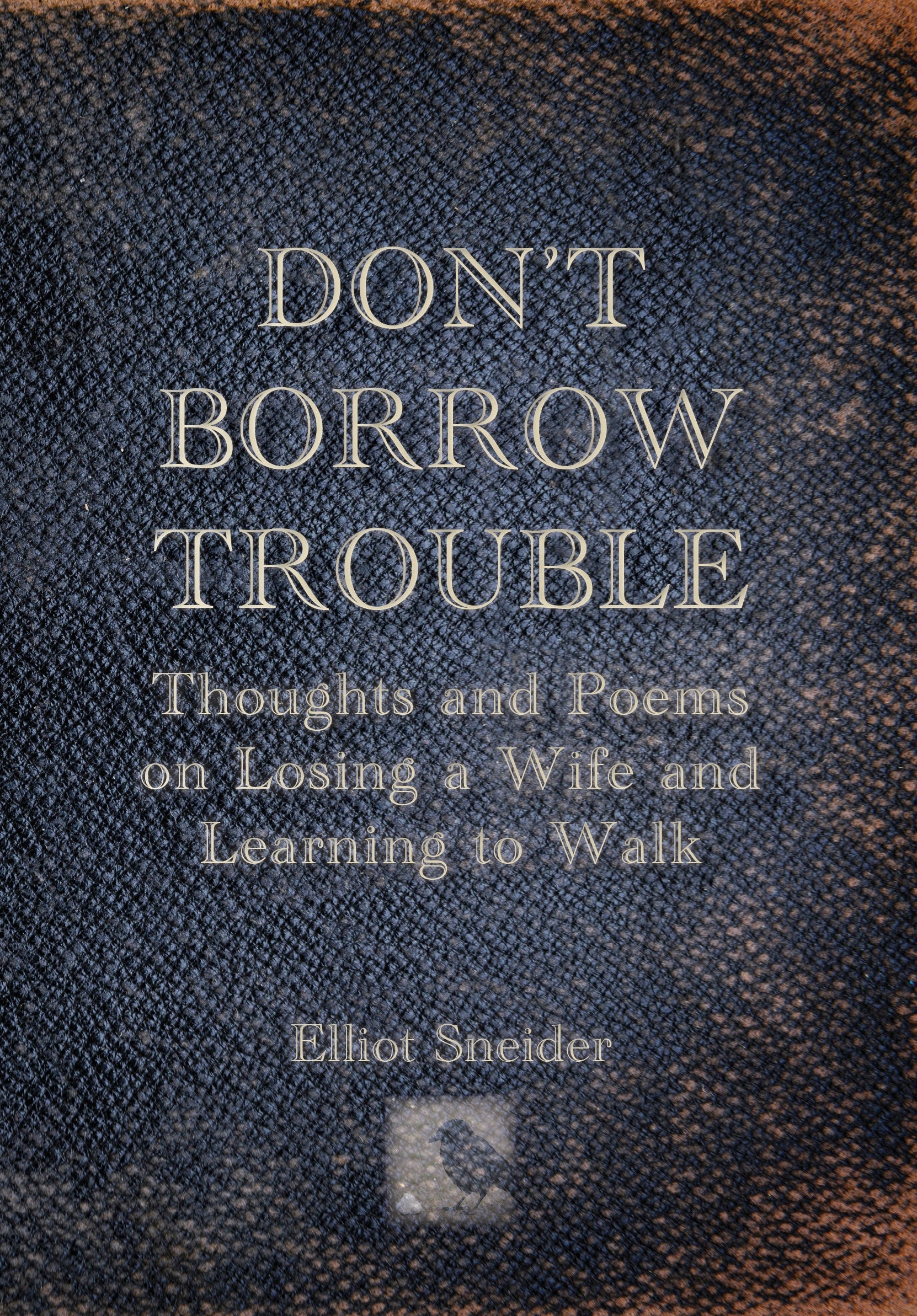 Don't Borrow Trouble: Thoughts and Poems on Losing a Wife and Learning to Walk